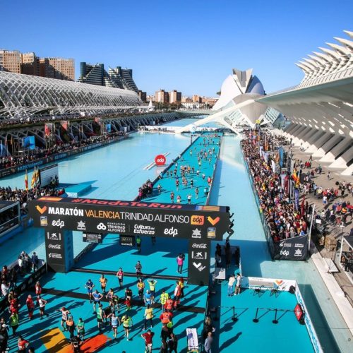 suivi coureur marathon valence (7)