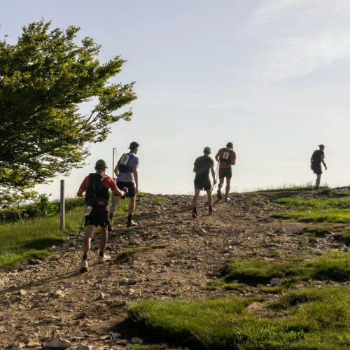 swiss canyon trail 2026 live (2)