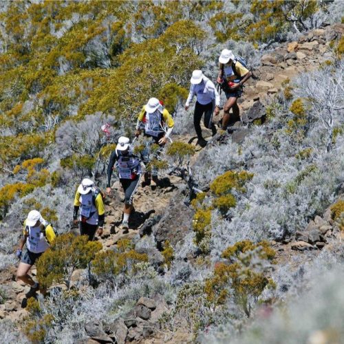 Quel est le taux d’abandon sur la Diagonale des fous ?