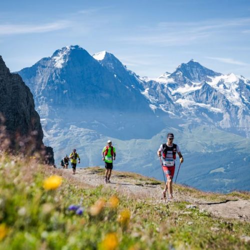 Combien d’abandons sur l’UTMB en moyenne ?