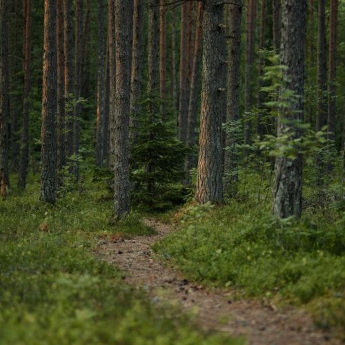 trail mozac deces