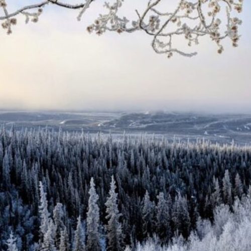 yukon arctic ultra live (5)
